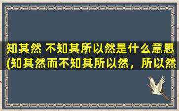 知其然 不知其所以然是什么意思(知其然而不知其所以然，所以然是什么意思)